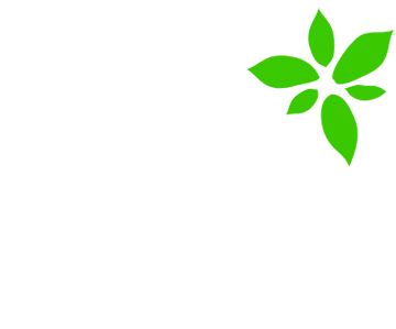 Basil Financials